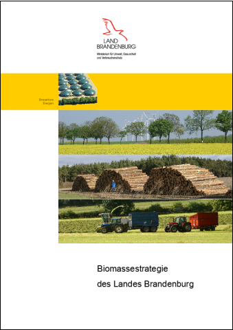 Bild vergrößern (Bild: Titelblatt Biomassestrategie)