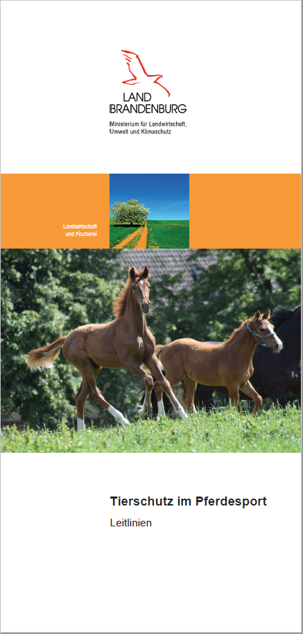 Bild vergrößern (Bild: Titelblatt des Flyers "Tierschutz im Pferdesport".)