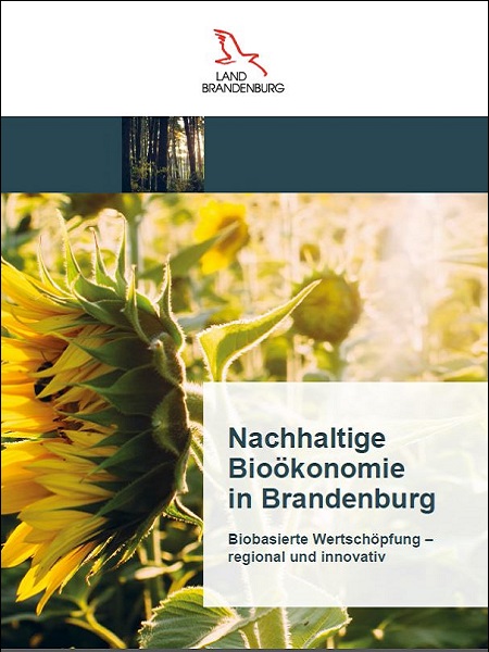Bild vergrößern (Bild: Titelblatt Broschüre Nachhaltige Bioökonomie)